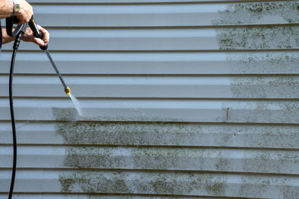 Best Attic Cleanout  in Daytona Beach Shores, FL